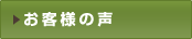 ���q�l�̐�